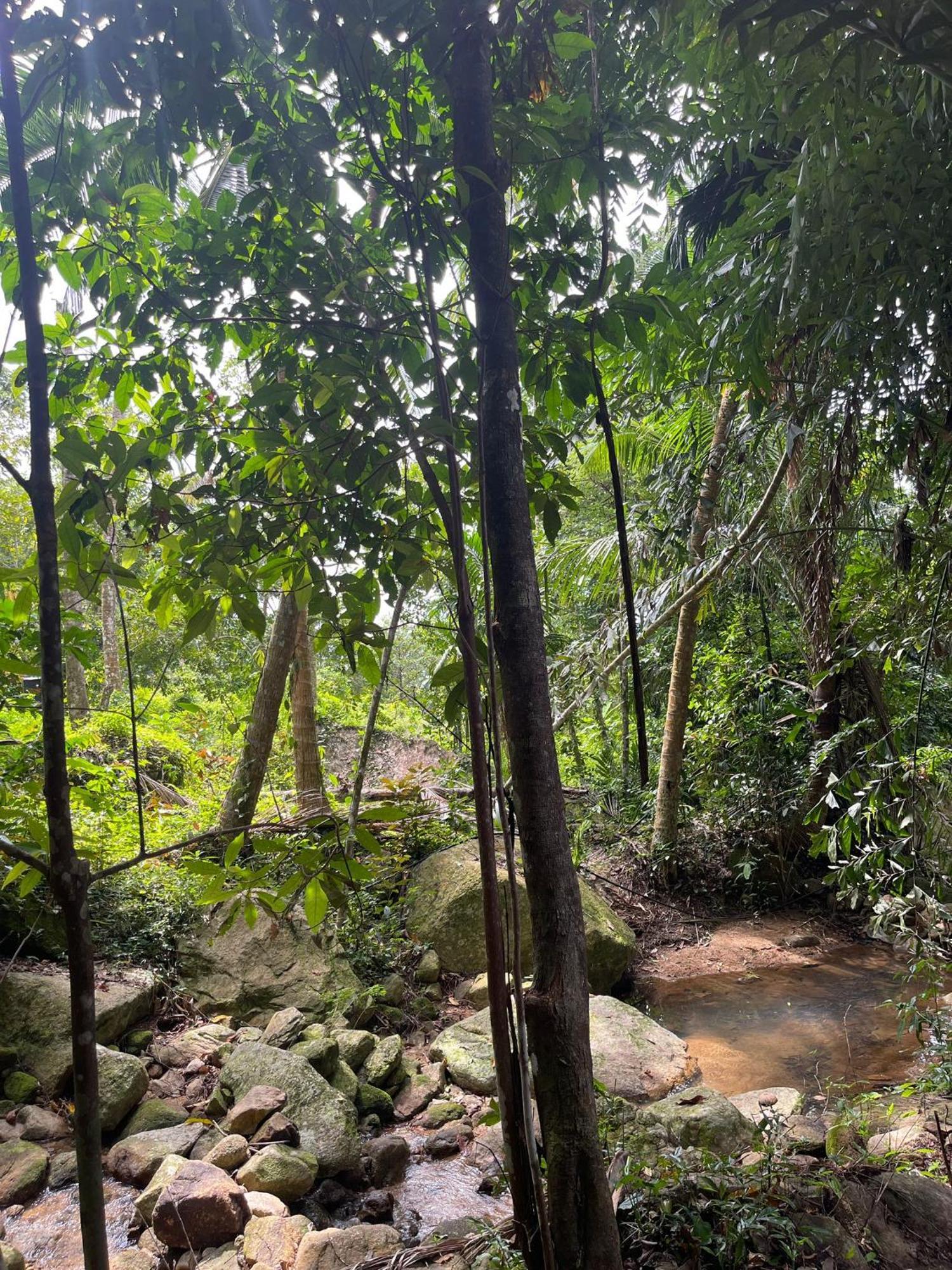 Camping Sz Samui Glamping *